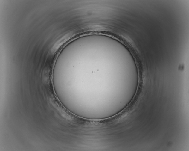 X0000110930873200906251331