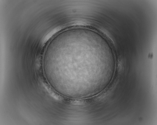 X0000110930874200906251331
