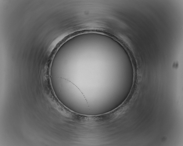 X0000110930875200906251331