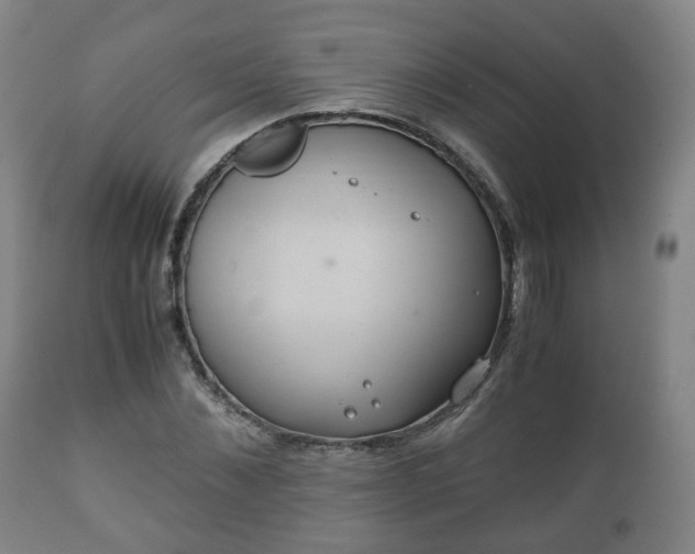 X0000110930876200906251331