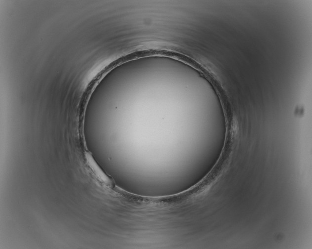 X0000110930877200906251331