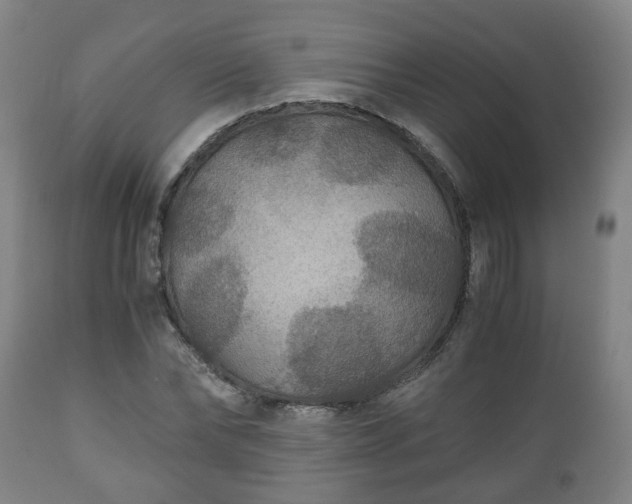 X0000110930878200906251331