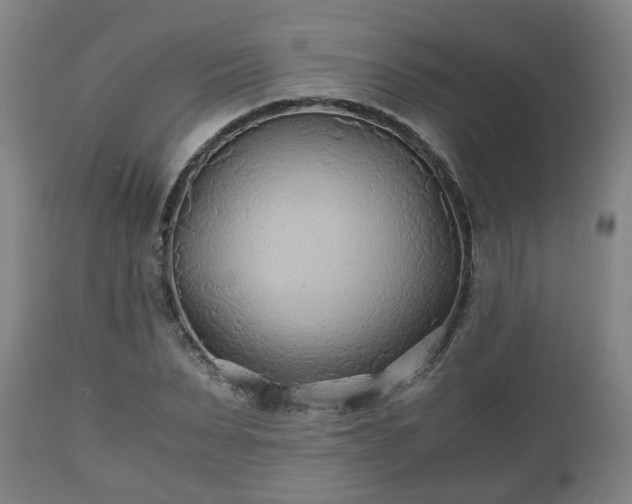 X0000110930879200906251331