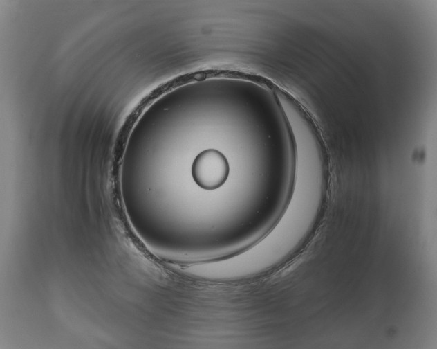 X0000110930880200906251331