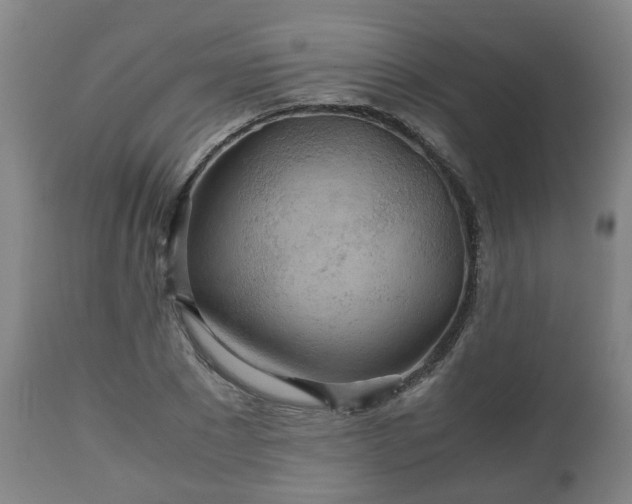 X0000110930881200906251331