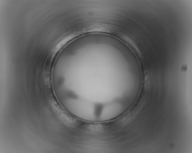 X0000110930882200906251331