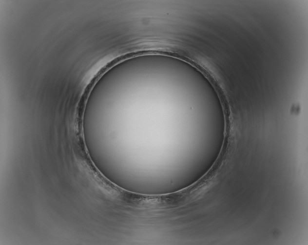 X0000110930883200906251331