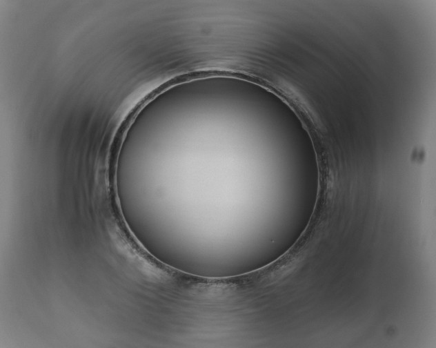 X0000110930884200906251331