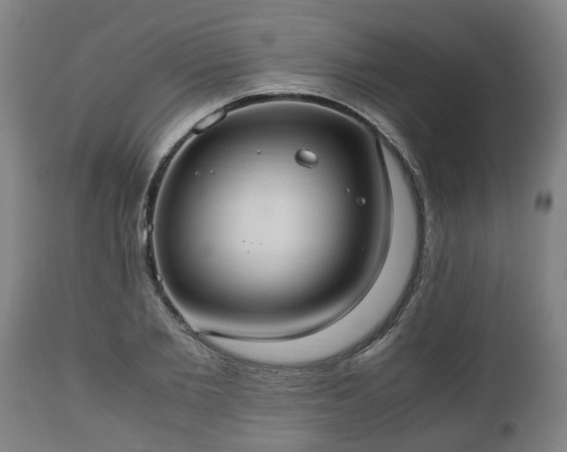 X0000110930885200906251331