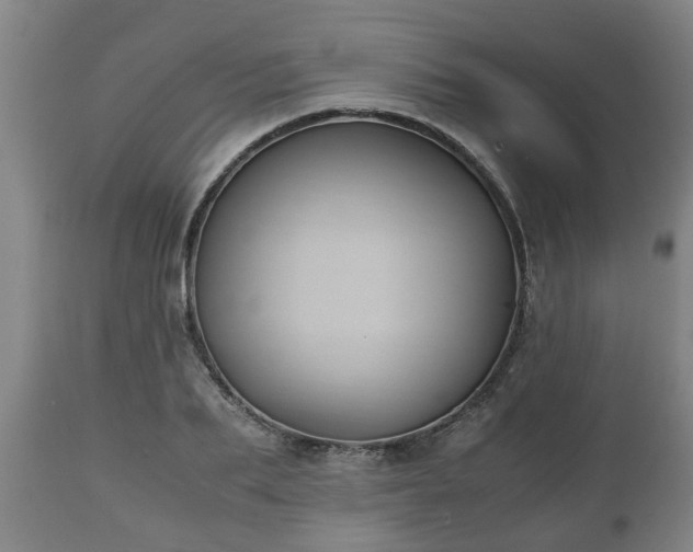 X0000110930887200906251331