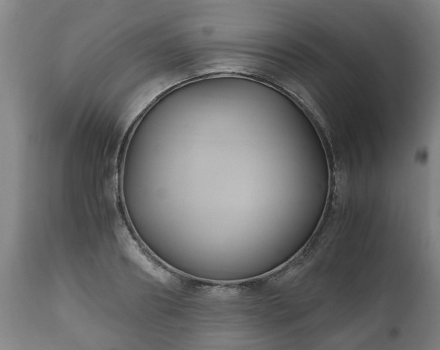 X0000110930890200906251330