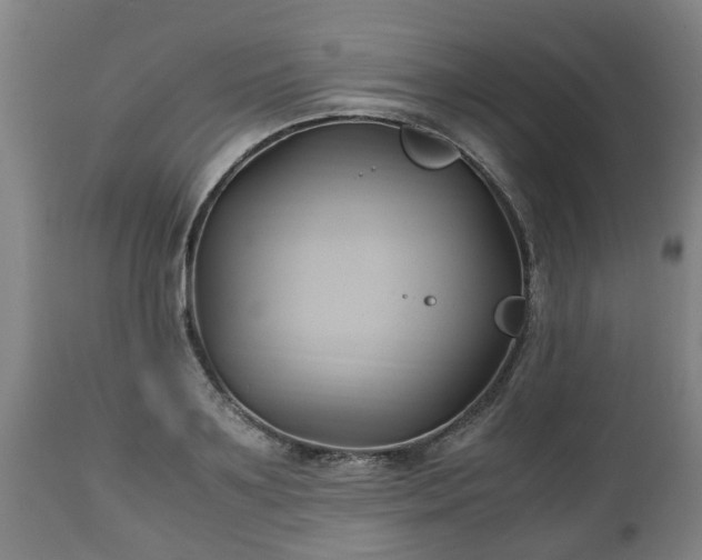 X0000110930891200906251330