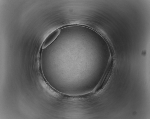 X0000110930892200906251330