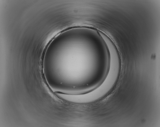 X0000110930893200906251330