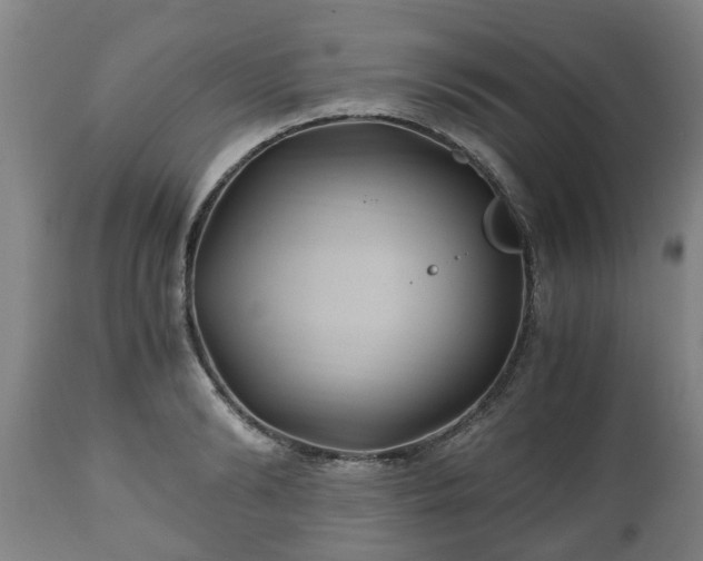 X0000110930894200906251330