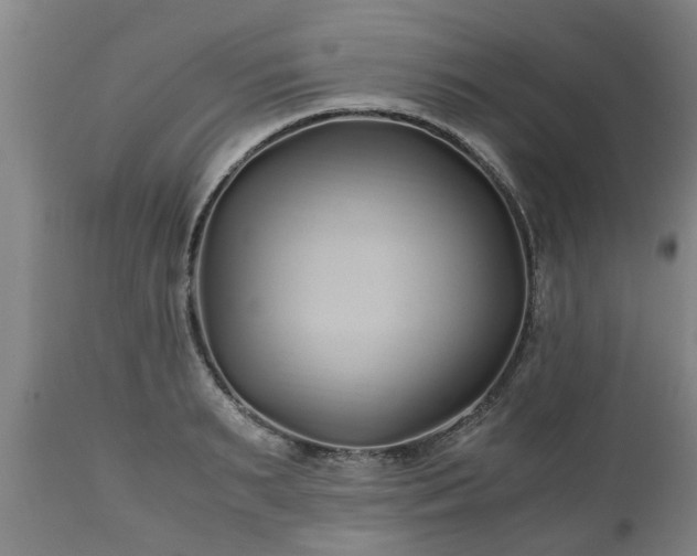 X0000110930895200906251330