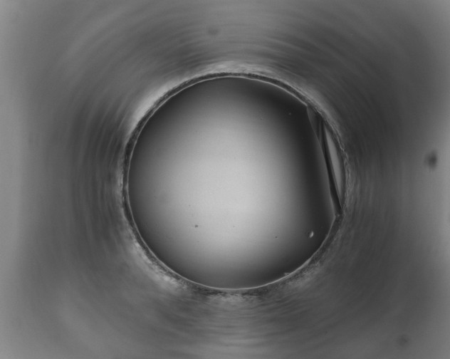 X0000110930896200906251330