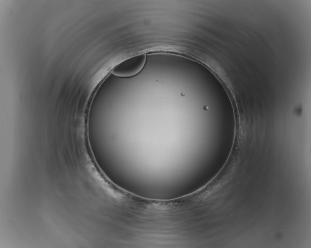 X0000110930898200906251330