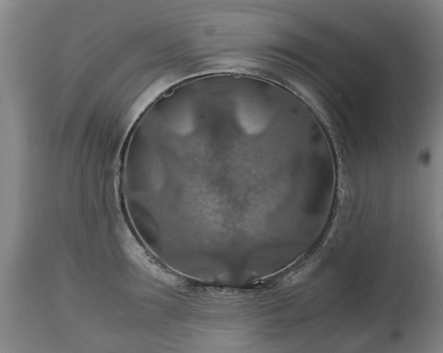 X0000110930899200906251330
