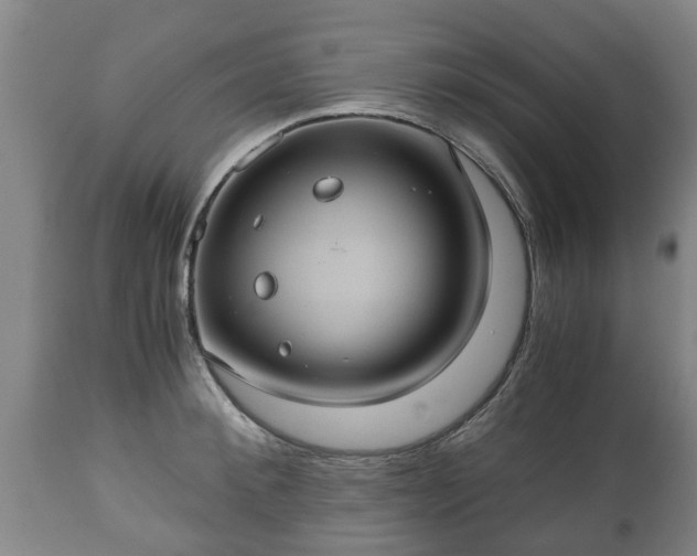 X0000110930900200906251330