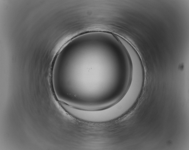 X0000110930901200906251330
