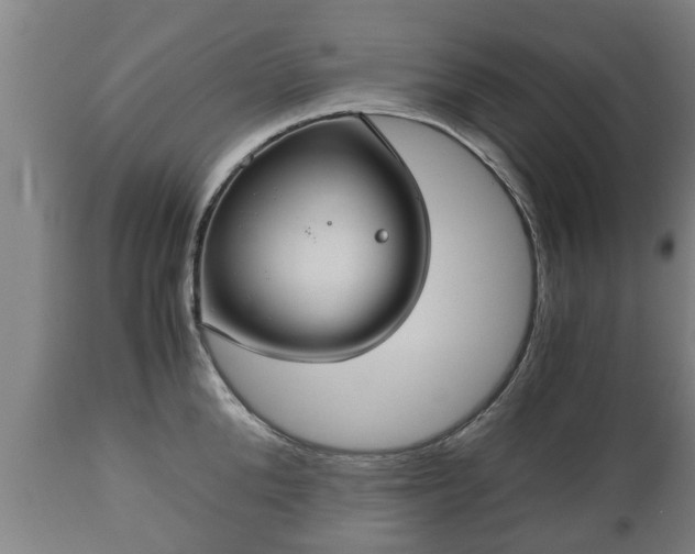 X0000110930904200906251330
