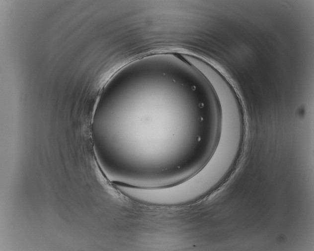 X0000110930905200906251330
