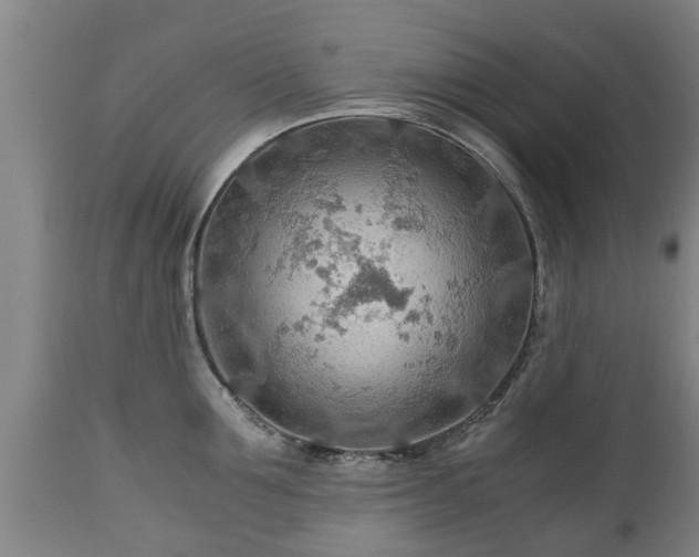 X0000110930907200906251330