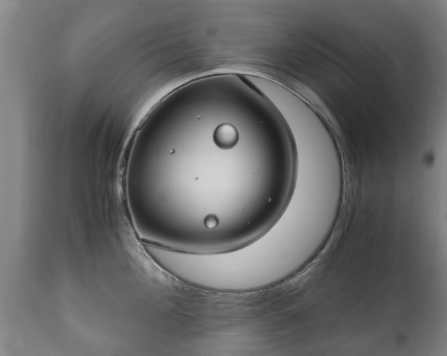 X0000110930908200906251330