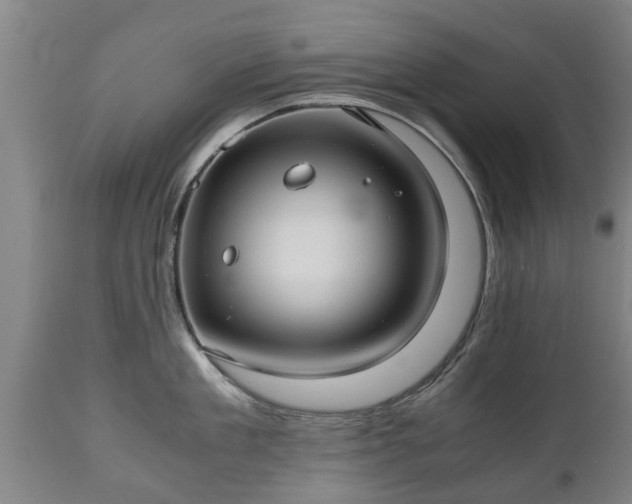 X0000110930909200906251330