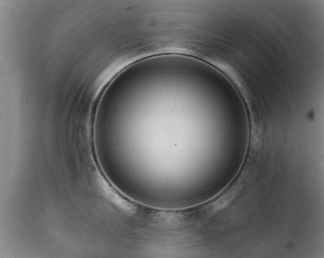 X0000110930910200906251330