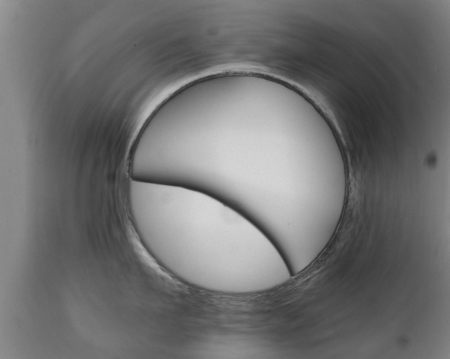 X0000110930911200906251330