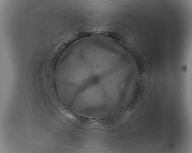 X0000110930913200906251329