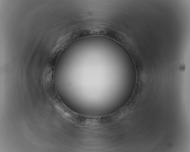 X0000110930914200906251329