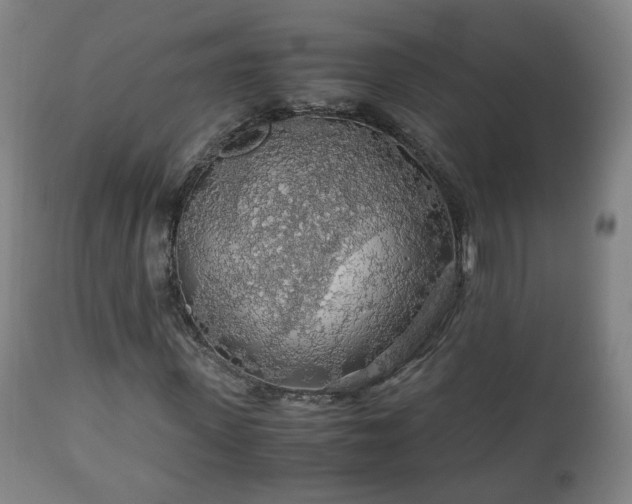 X0000110930915200906251329