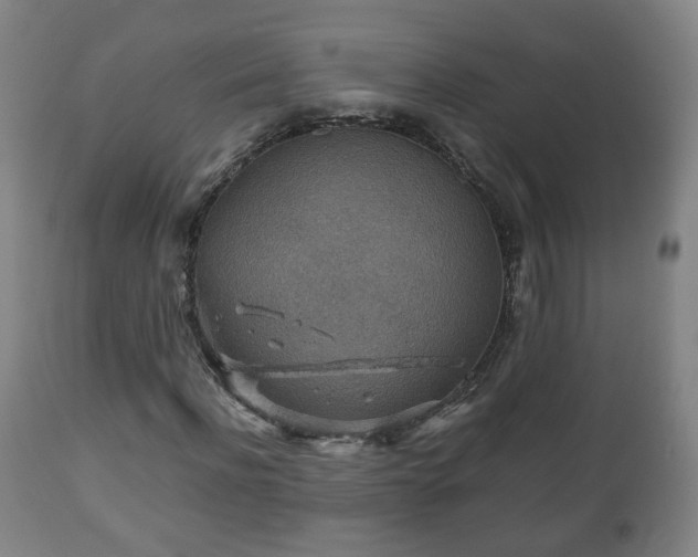 X0000110930916200906251329