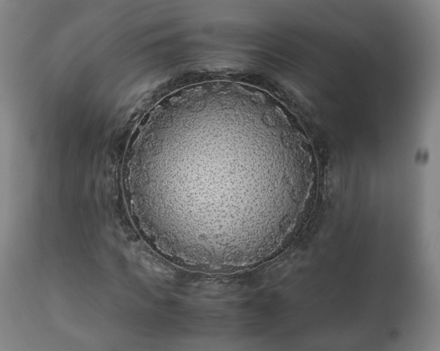 X0000110930917200906251329