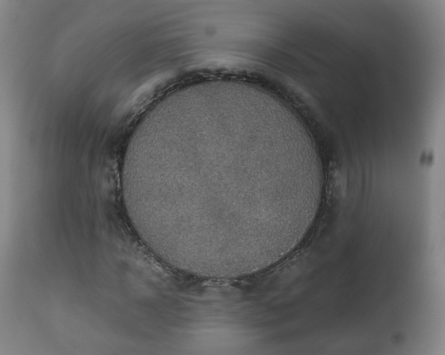 X0000110930918200906251329