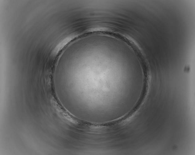 X0000110930921200906251329