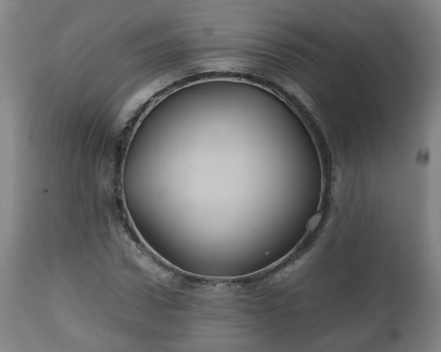 X0000110930922200906251329