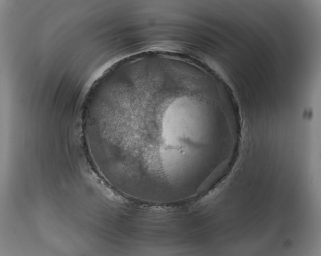 X0000110930923200906251330