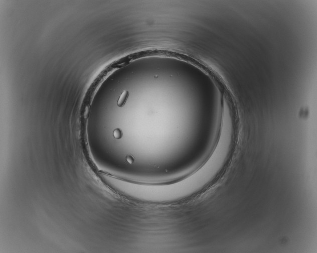 X0000110930924200906251330