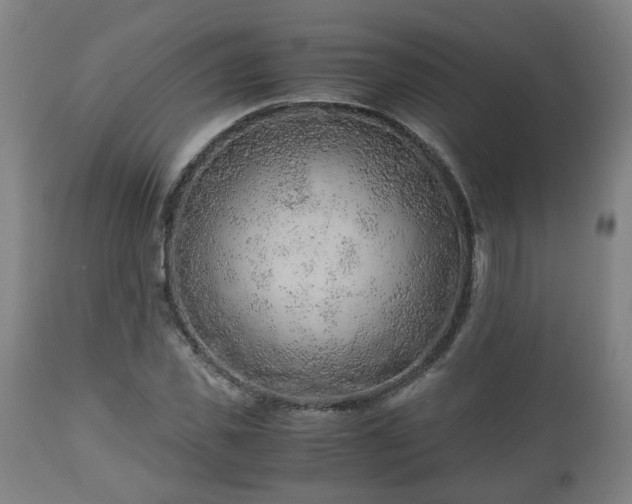 X0000110930925200906251330