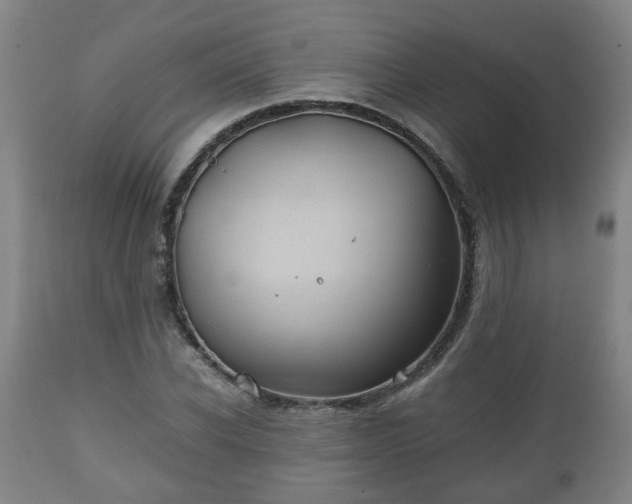 X0000110930926200906251330