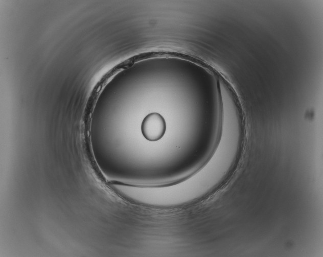 X0000110930928200906251330
