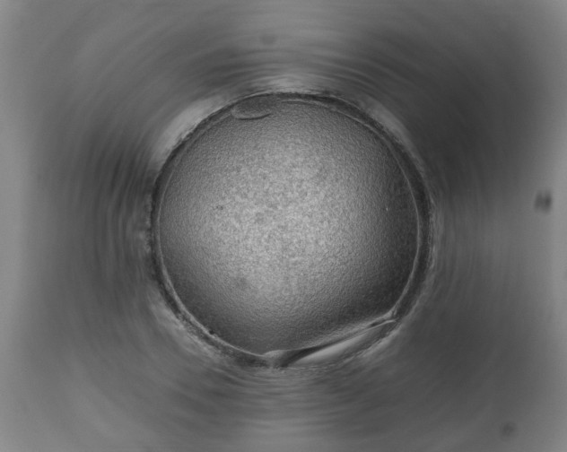 X0000110930930200906251330