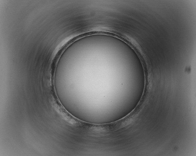 X0000110930931200906251330