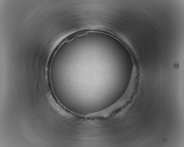 X0000110930932200906251330