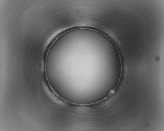 X0000110930934200906251330