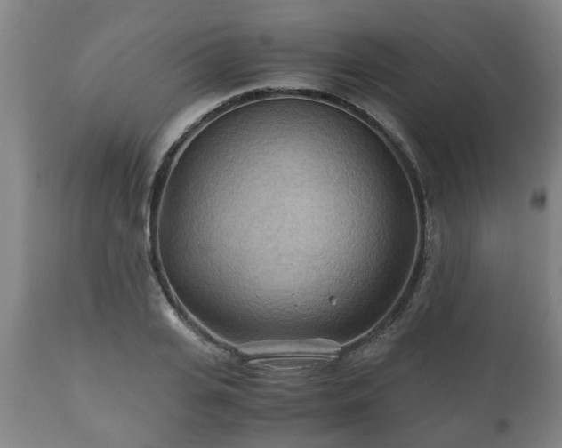 X0000110930935200906251330